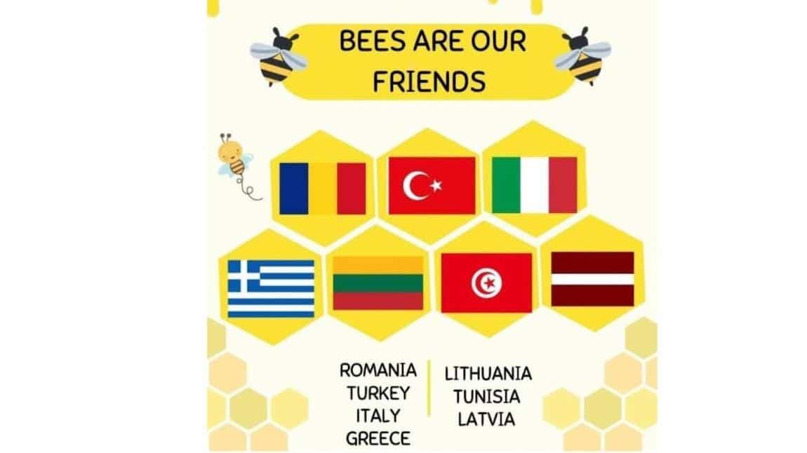 Bees are our Friends
